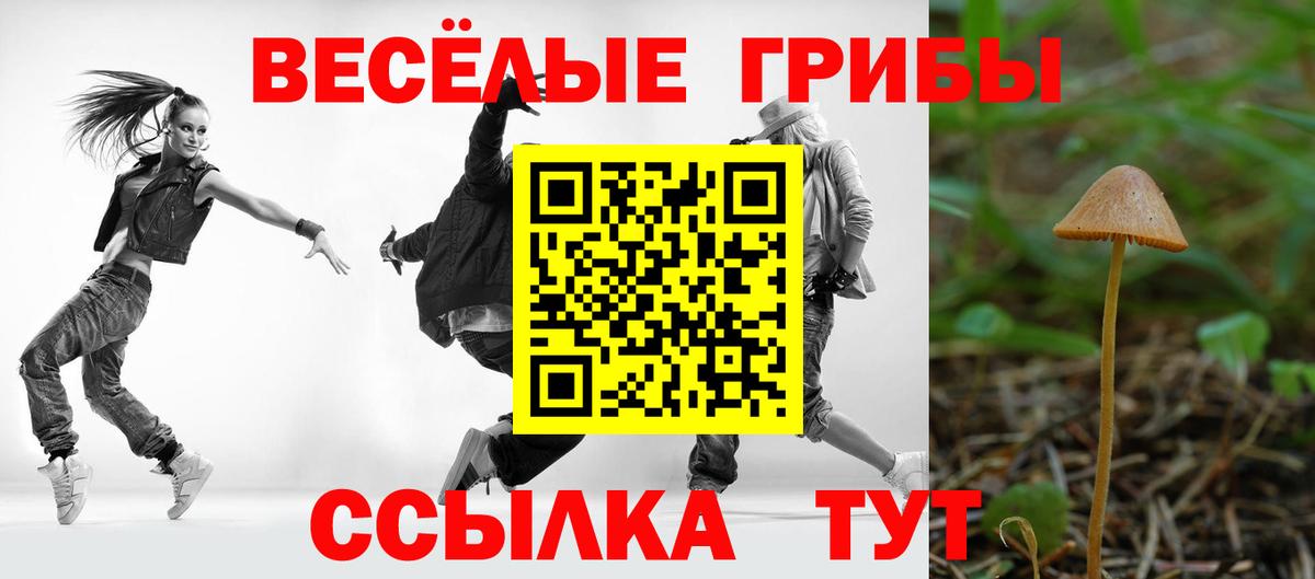 Юрга  Галлюциногенные грибы мухоморы  Вход с VPN 