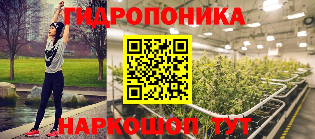 Канабис семена  Конопля конопля  Юрга  Вход с VPN 